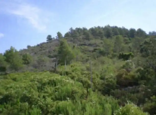 Rural land for sale in Alcossebre