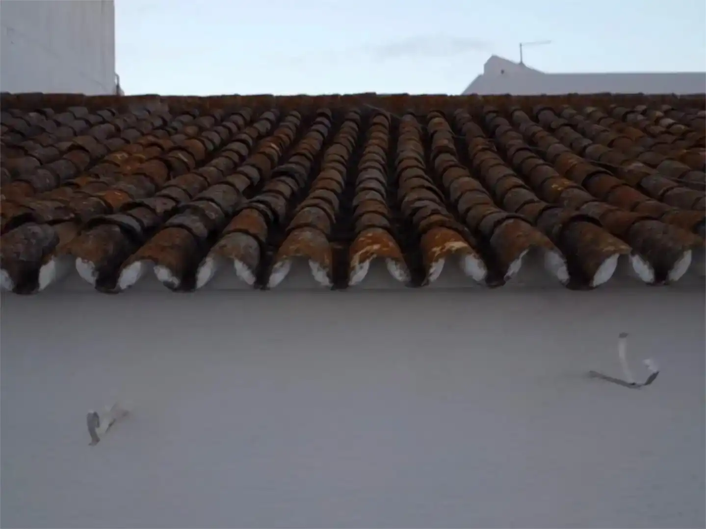 Vista exterior de Casa adosada en venda en Moguer