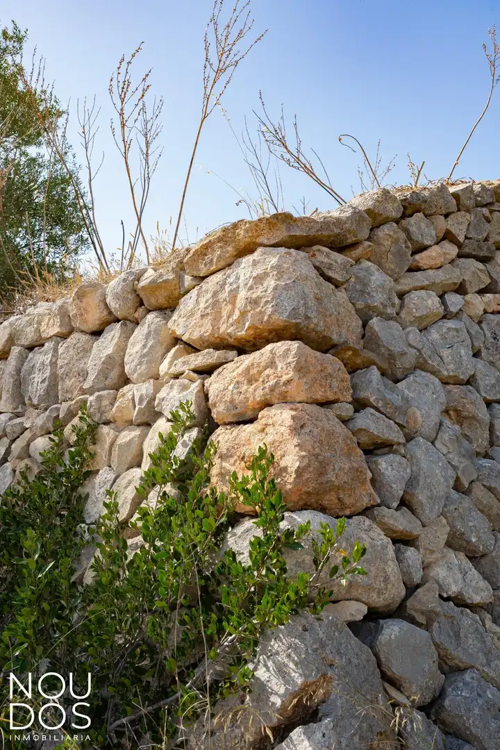 Terrenys i solars en venda a Llucmajor pueblo, imagen 11