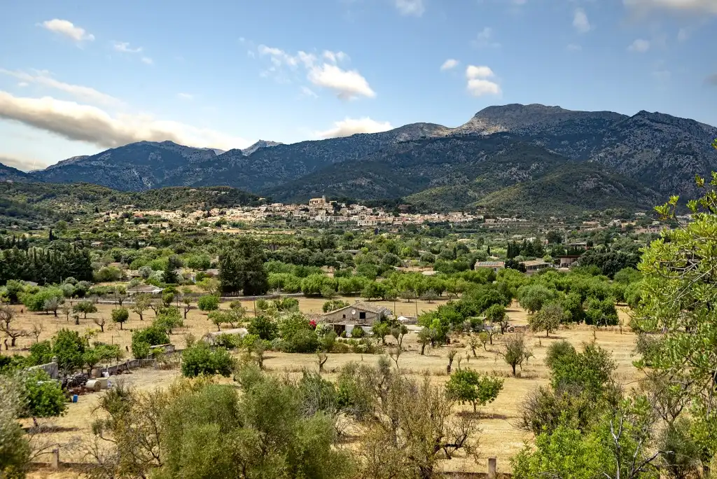 Casa rustica con giardino in vendita a Selva, imagen 21