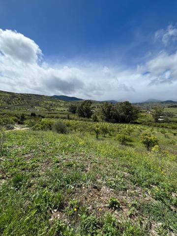 Terreno en Venta en Tolox