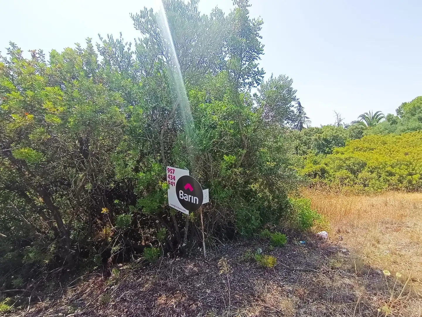 Lands and plots for sale in Periurbano Norte, imagen 3