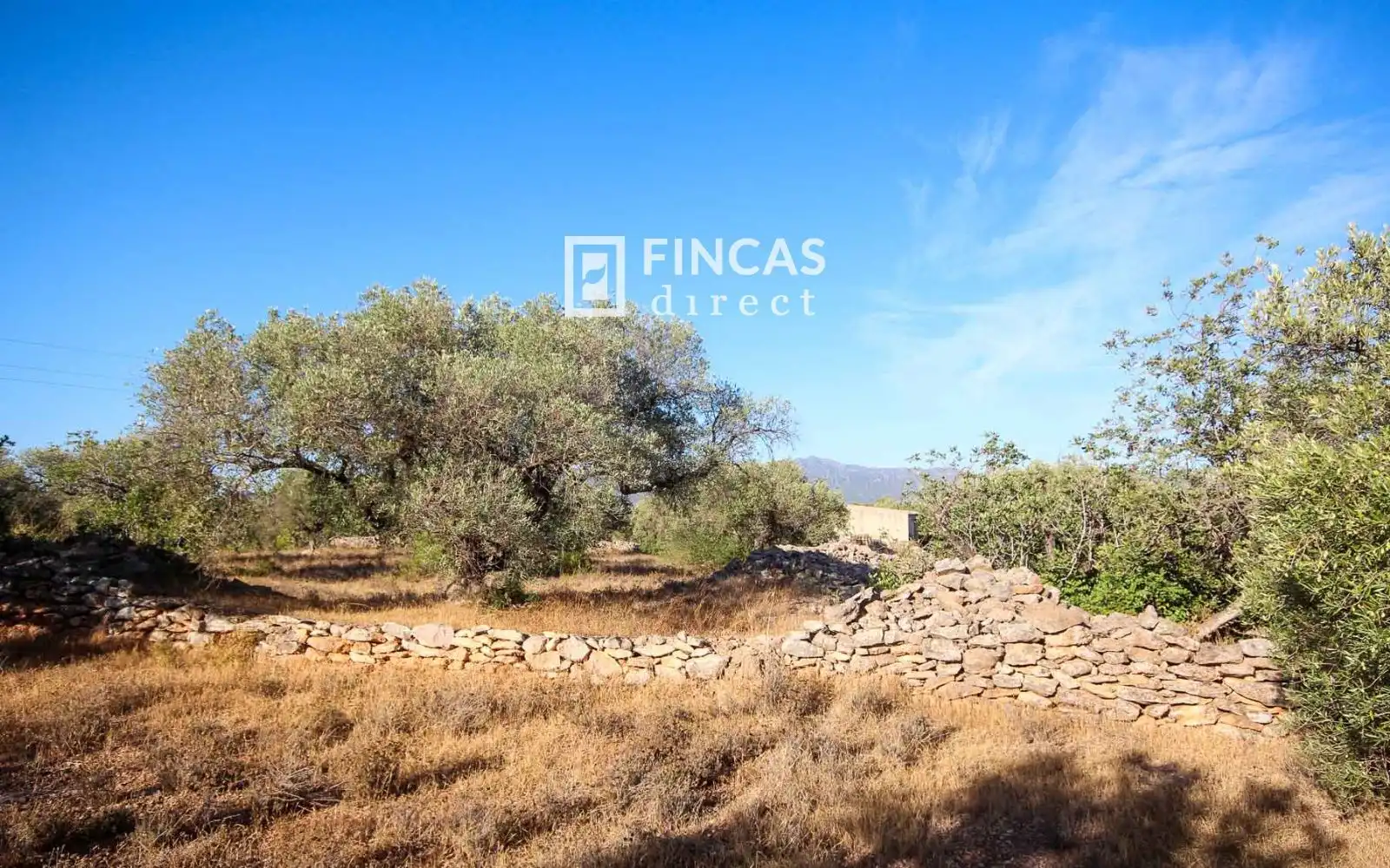Country homes for sale in Xerta
