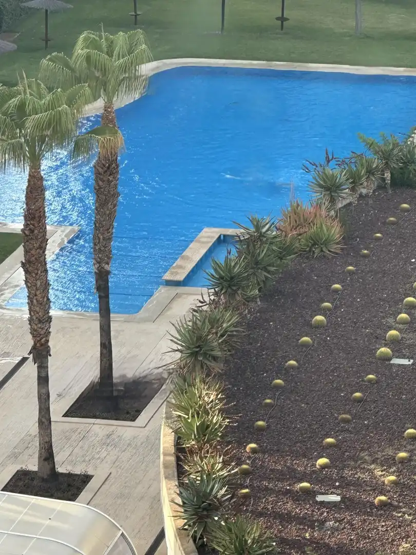 Piscina de Piso de alquiler en Alicante / Alacant con Aire acondicionado y Piscina comunitaria