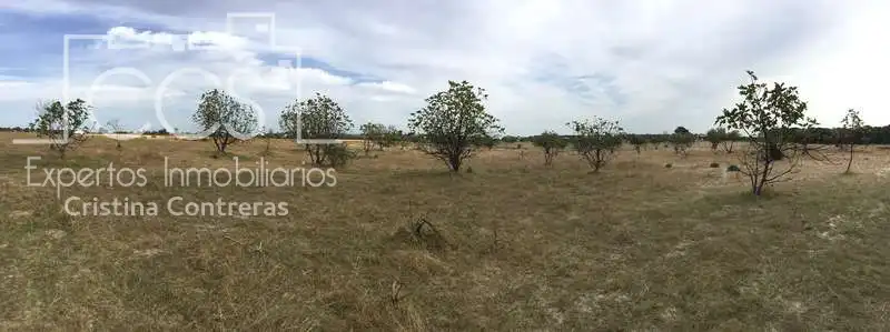Casa rústica en venda a Almonte ciudad, imagen 41