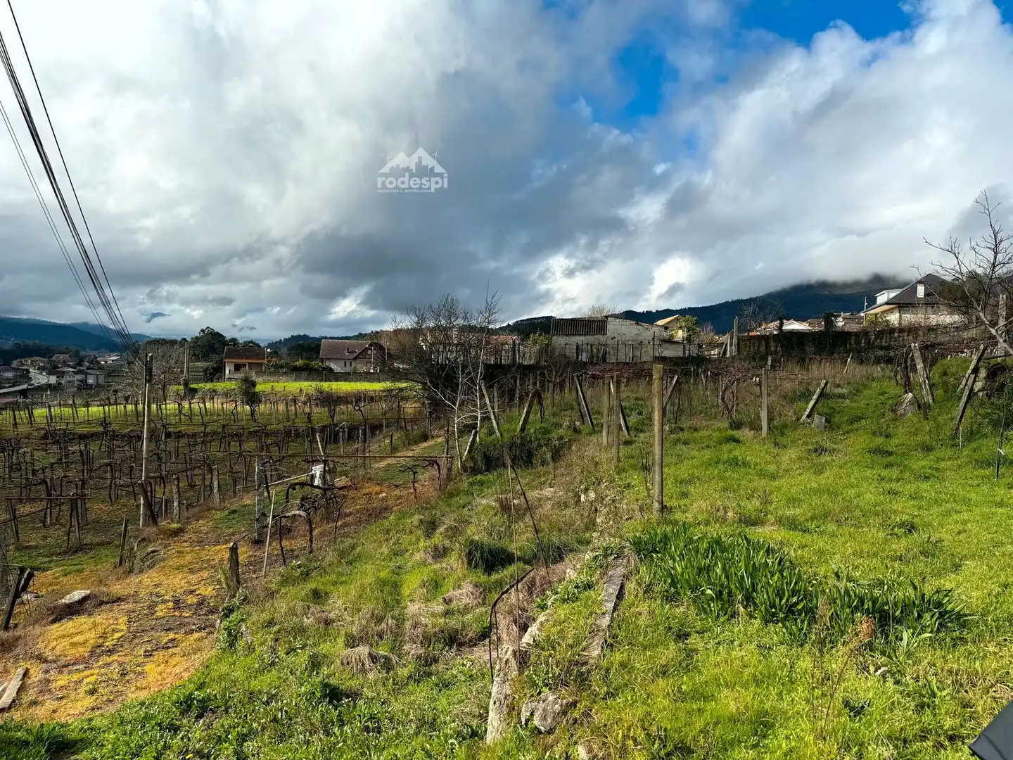 Rural land for sale in Arbo, imagen 15