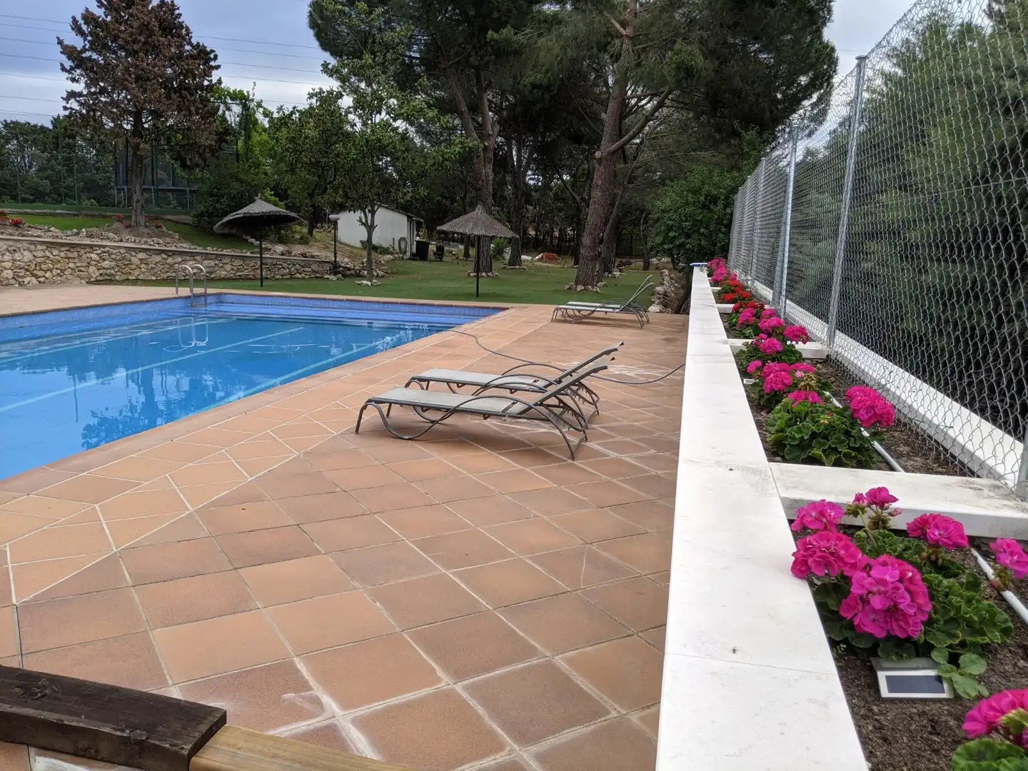 Piscina de Casa o chalet en venta en Pozuelo de Alarcón con Aire acondicionado, Calefacción y Jardín privado