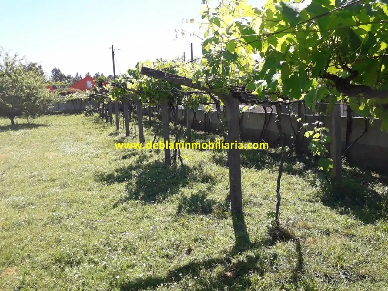Terreno rustico in vendita a Tomiño, imagen 7