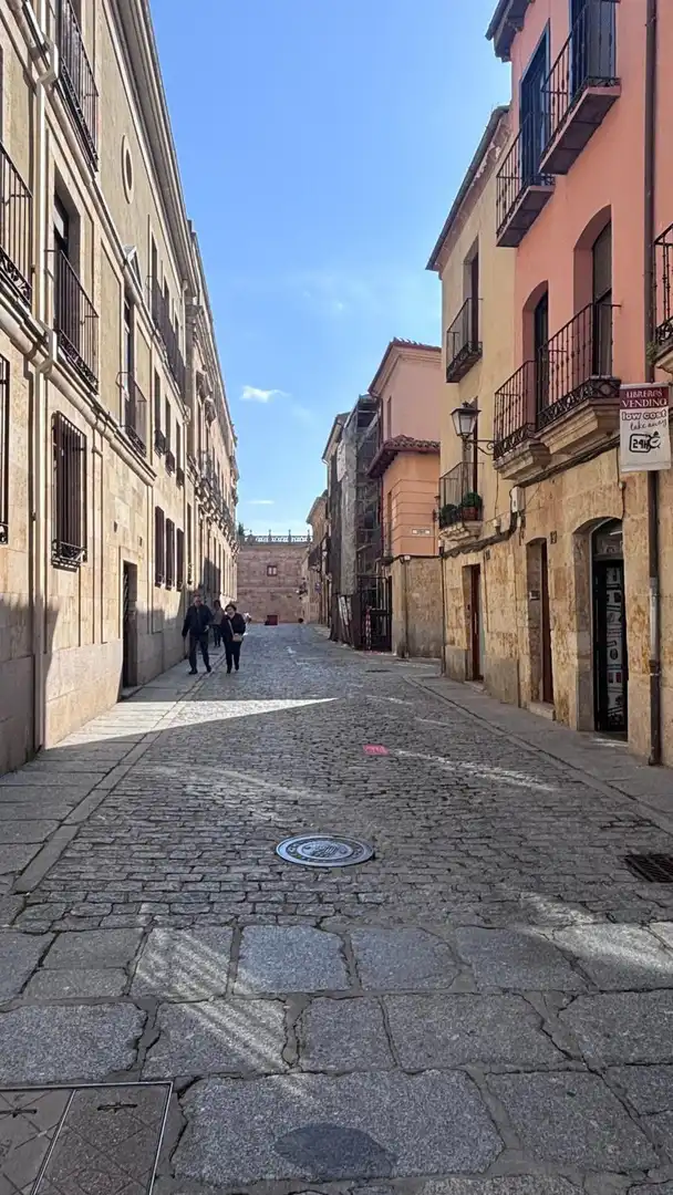 Exterior view of Commercial properties for sale in Salamanca