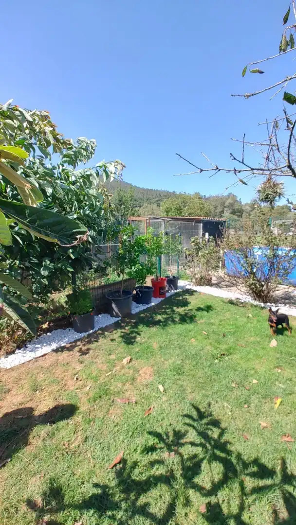Casa con piscina en venta en SAN JULIAN (LA ENCINA ), imagen 43
