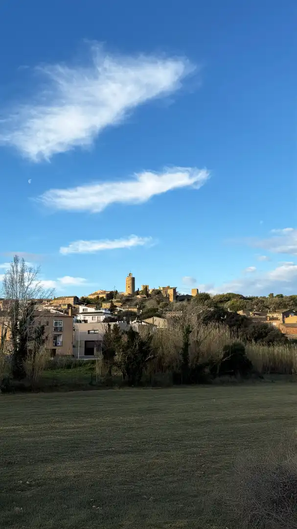 Casa o chalet en venta en Carrer l'Avi Rajoler, Pals