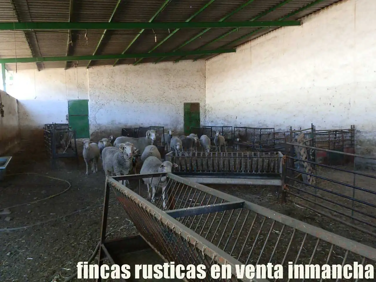Terreny rústic en venda a Fuente el Fresno, imagen 24