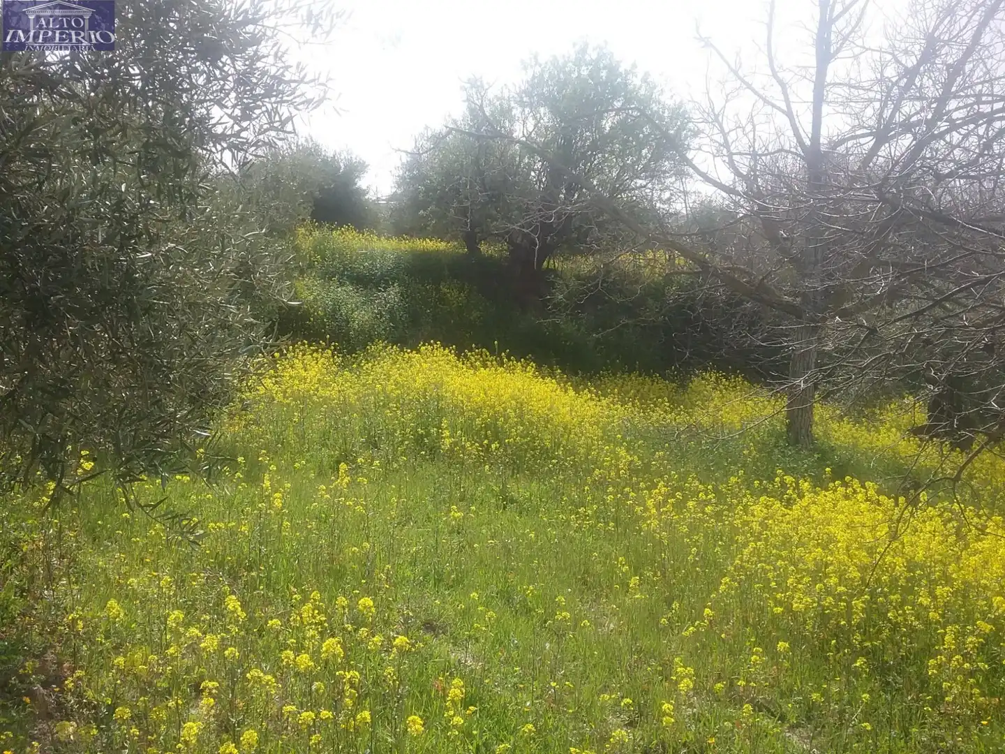 Grundstücke zum Verkauf in Granada