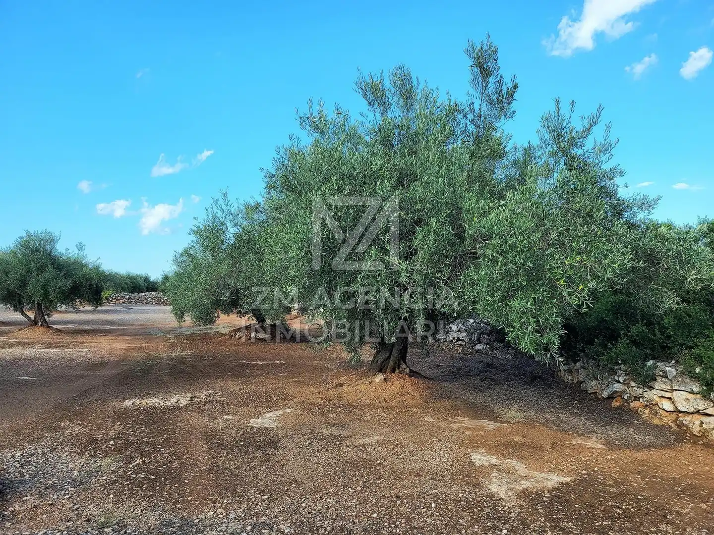 Country house for sale in Rossell, imagen 9