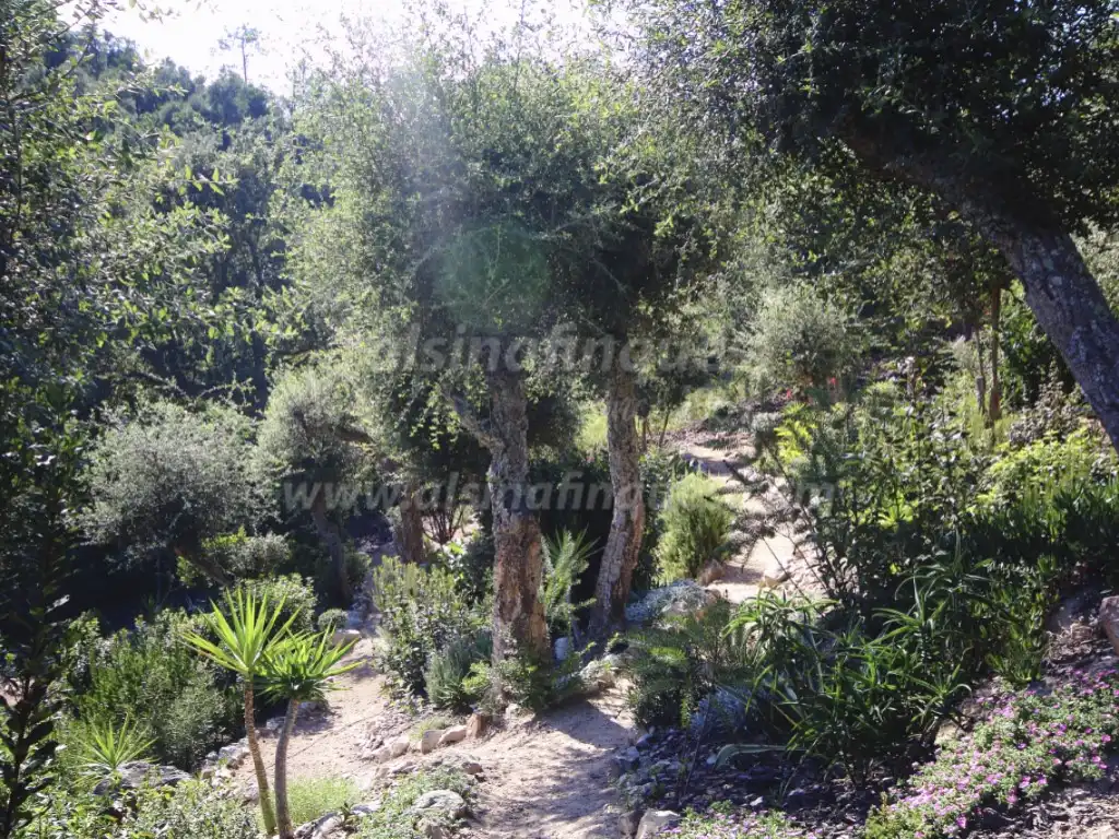 Villa mit Pool zum Verkauf in Camí de la Plana, imagen 45