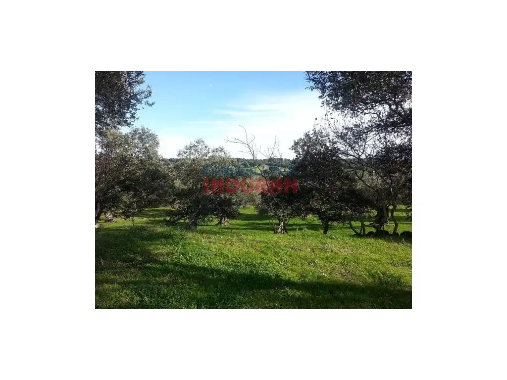 Casa rústica en venda a Belvís de Monroy, imagen 10