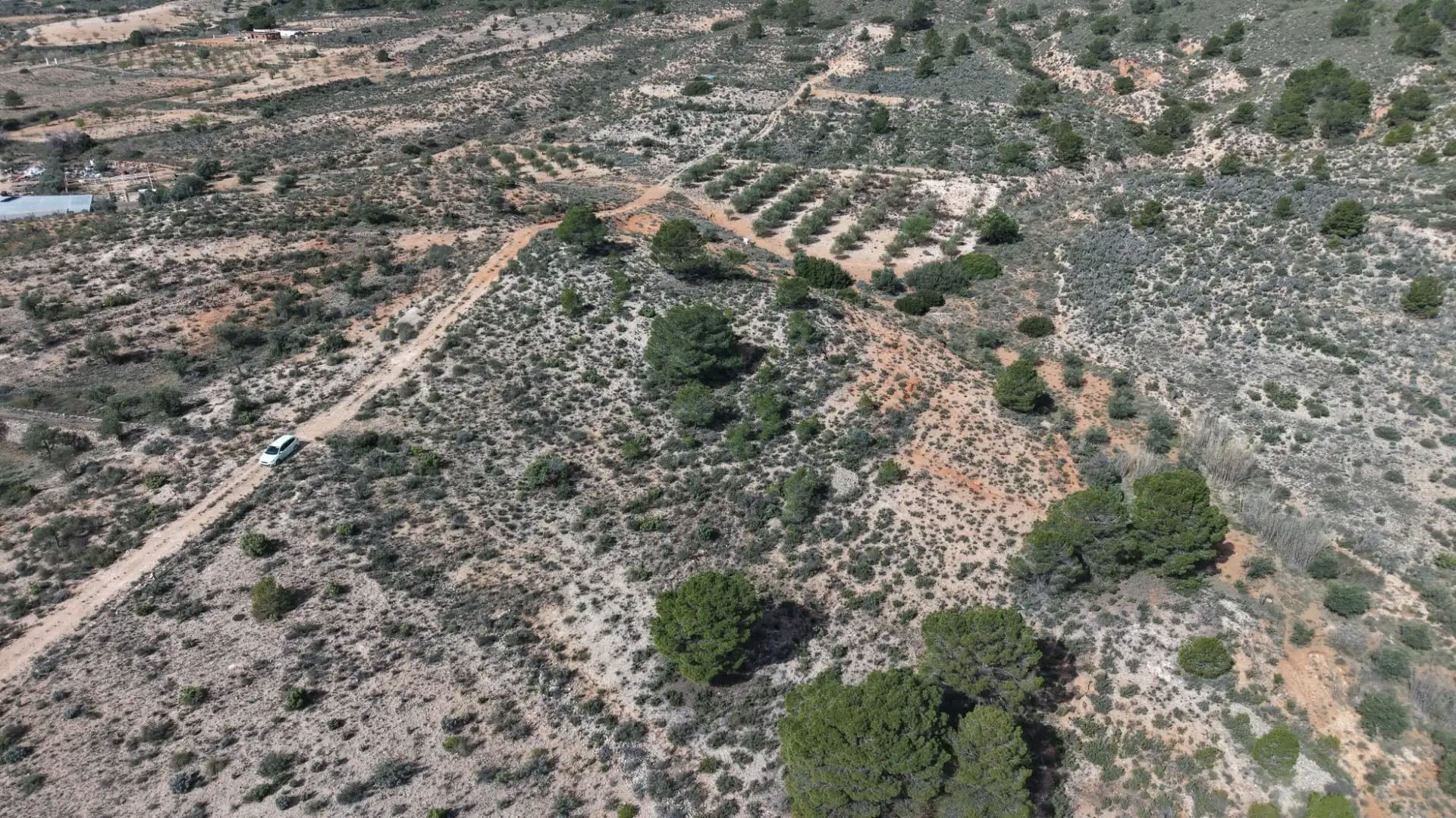 Residential land for sale in Yecla, imagen 12