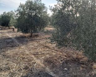 Finca rústica en venda en Fuente de Piedra