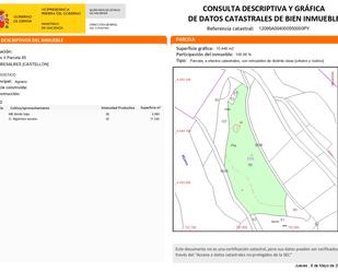 Exterior view of Land for sale in Ribesalbes