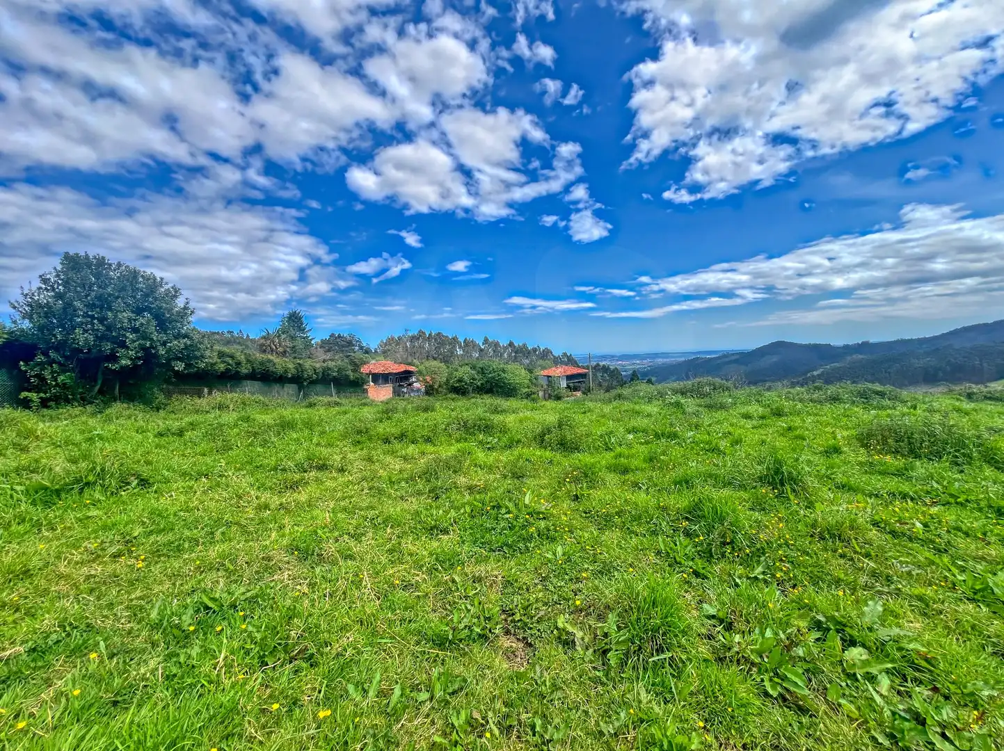 Lands and plots for sale in Pillarno, imagen 2