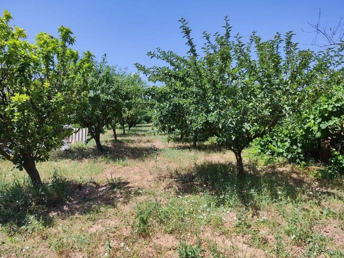 Casa o chalet en venta en Quintanaélez con Calefacción, Jardín privado y Terraza