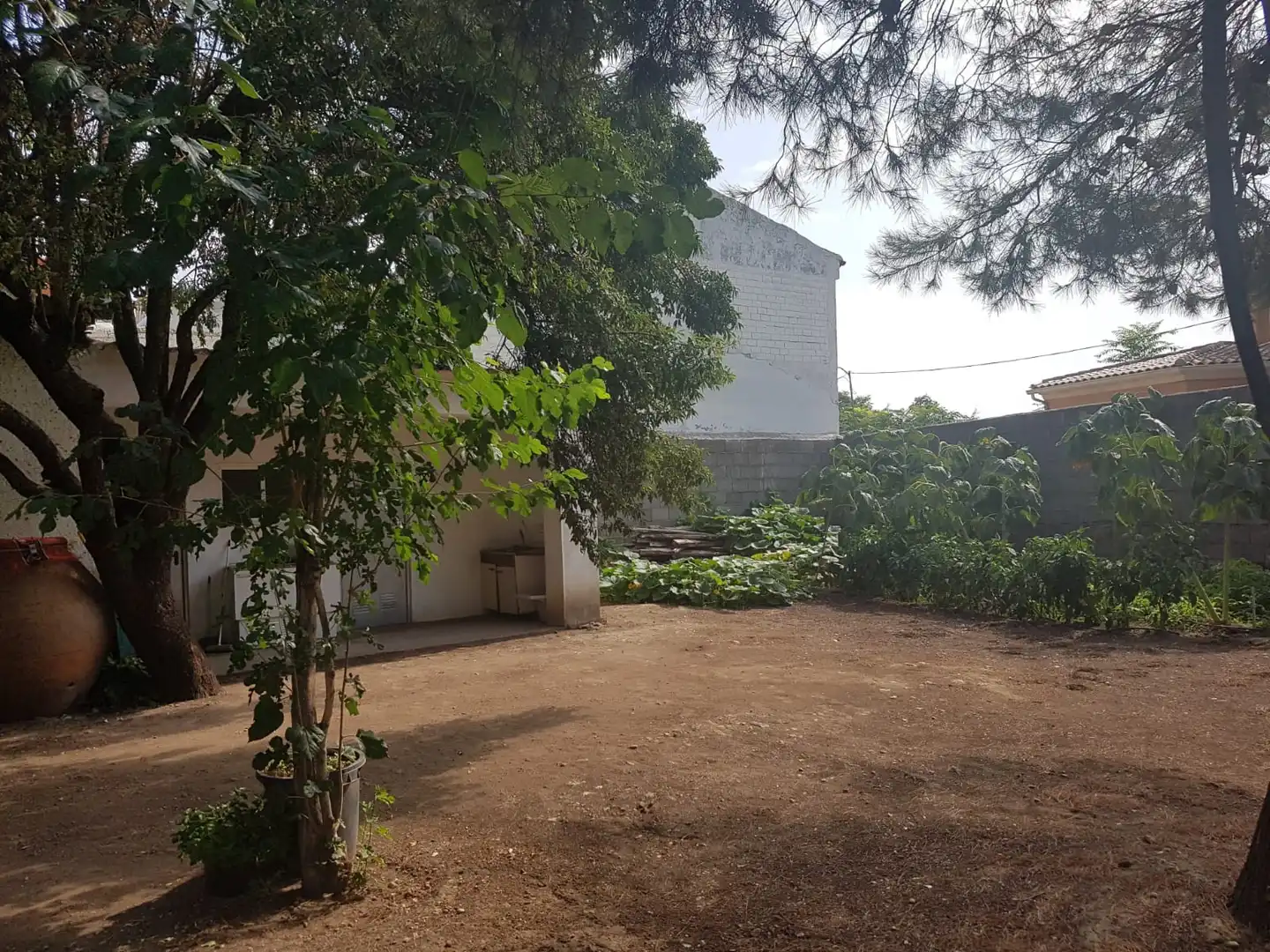 Lands and plots for sale in Corral de Almaguer, imagen 8