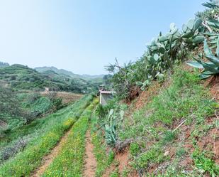 Grundstücke zum verkauf in Moya (Las Palmas)