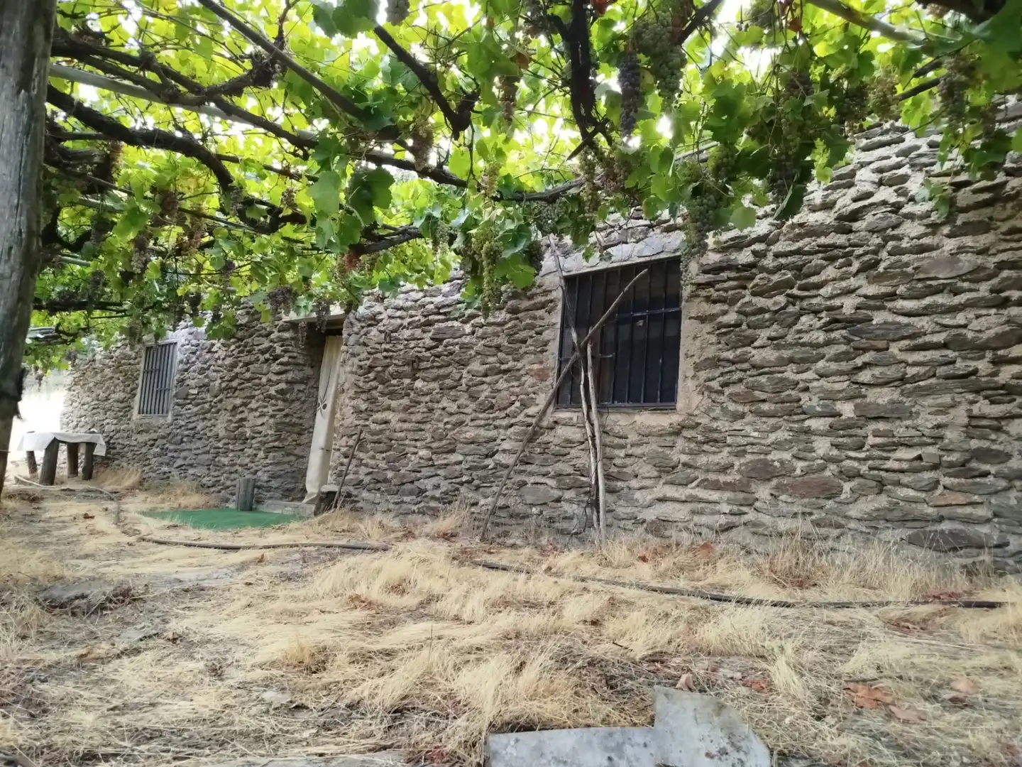 Rural land for sale in Alpujarra de la Sierra