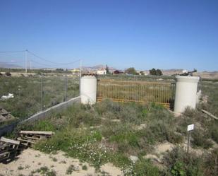 Residential for sale in Zarza la Mayor