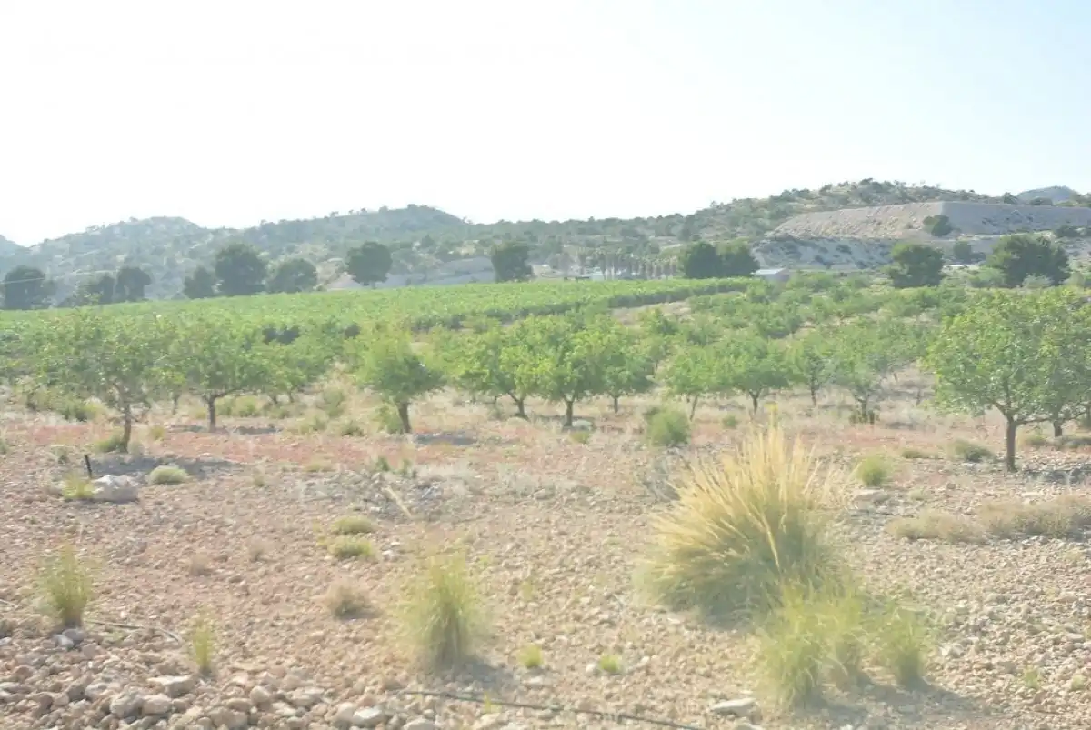 Terreni e lotti in vendita a Campo de Murcia, imagen 28
