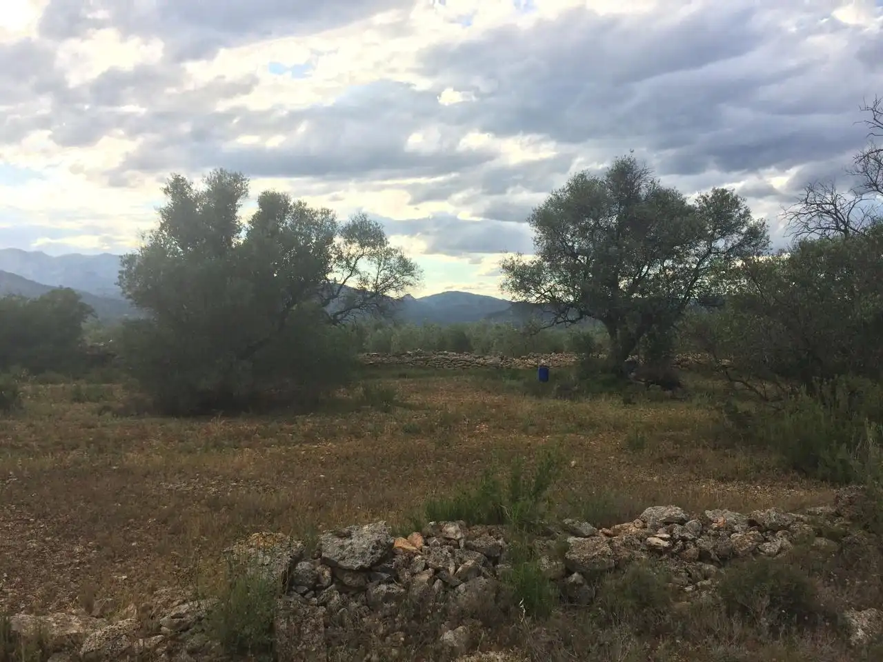 Terrain rustique à vendre à Les Planes, imagen 12