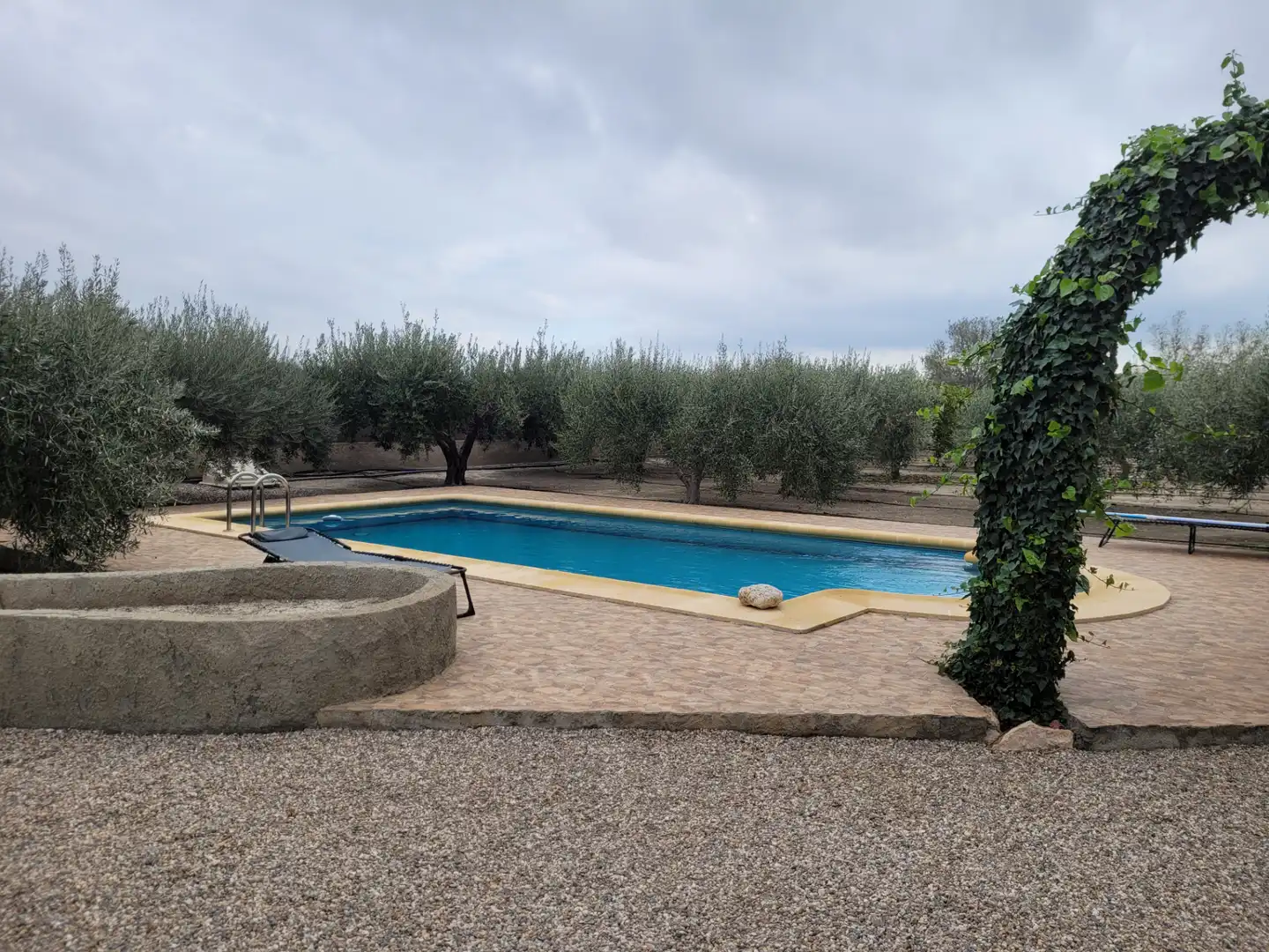 Swimming pool of Detached homes for sale in Mojácar  with Air Conditioner, Heating and Private garden