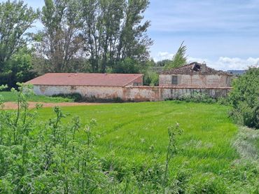 Casa con jardín en venta en Calle Real