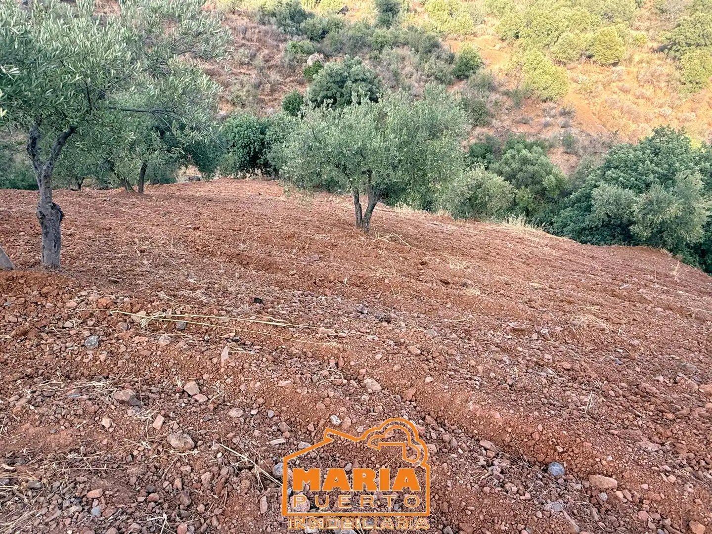 Terreno rustico in vendita a Almogía, imagen 12