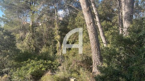 Foto 3 de Terreno en venta en Carrer de la Puput, Can Palet de Vista Alegre, Terrassa