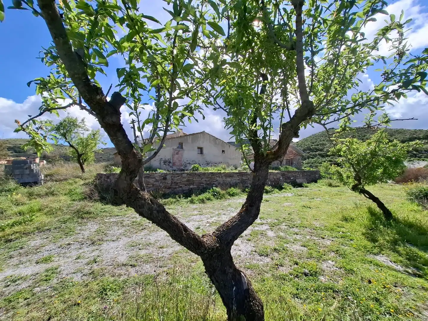 Casa rústica en venda a Pedanías Sur, imagen 9