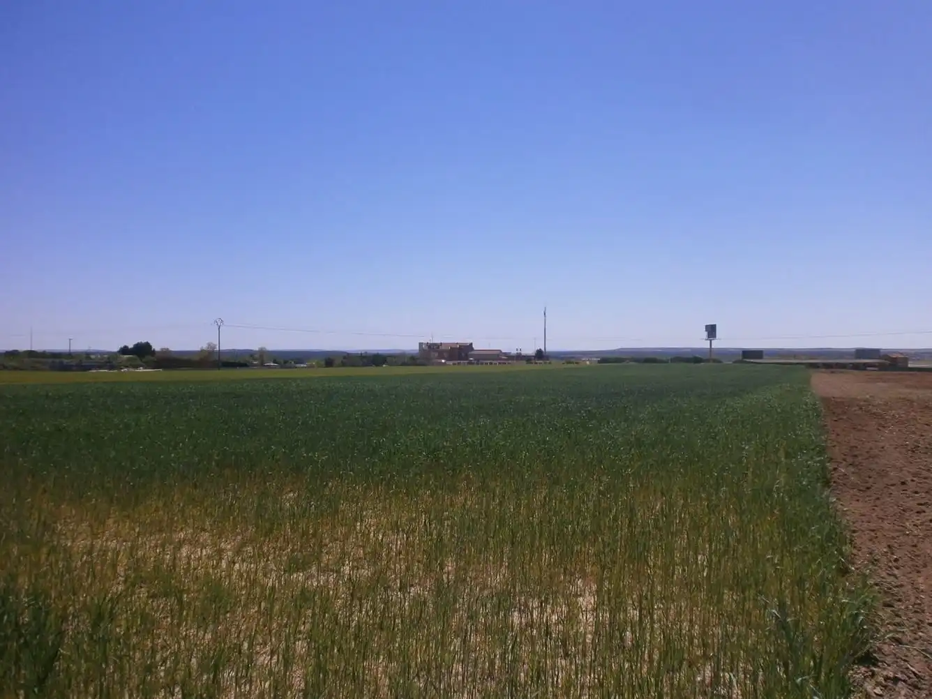 Residential land for sale in Geria, imagen 15