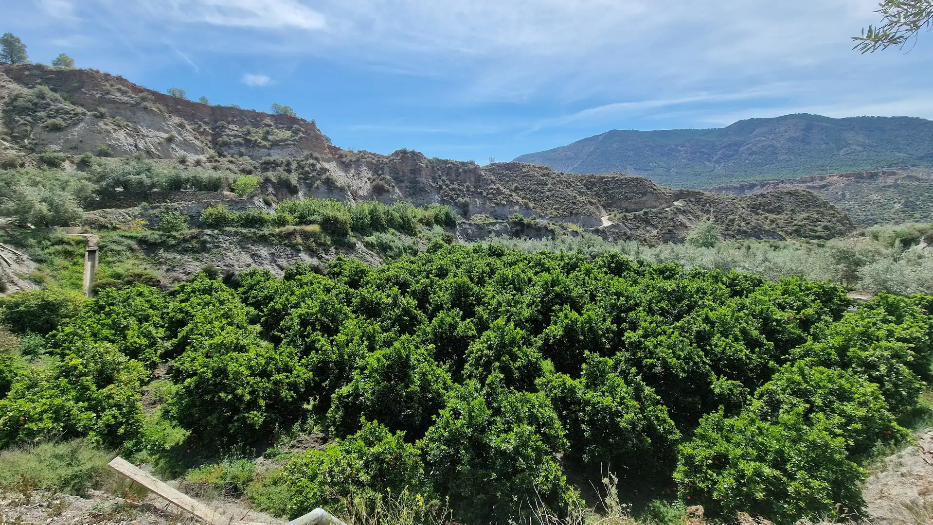 Finca rústica en venda en Canjáyar amb Jardí privat i Moblat
