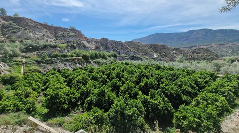 Photo 3 of Country house for sale in Canjáyar, Almería