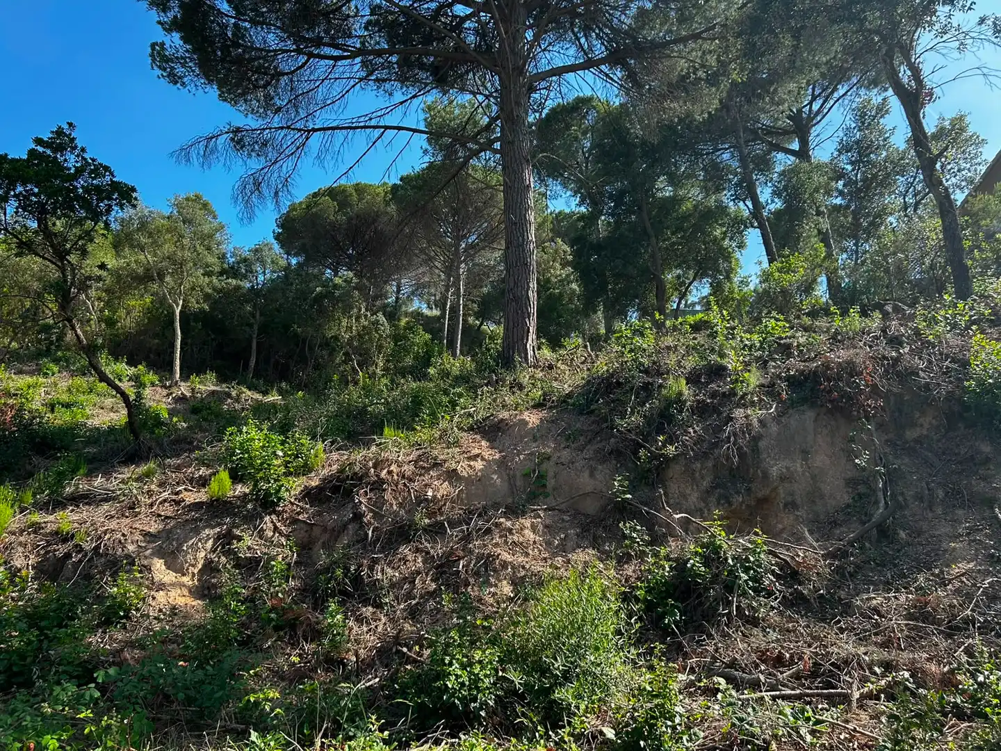 Wohnbaugrundstück zum Verkauf in Lloret Residencial - Montlloret, imagen 8