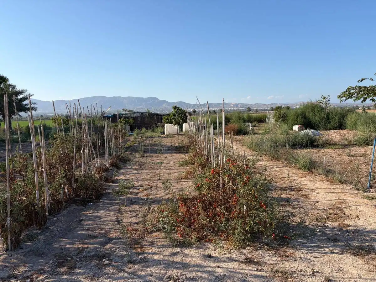 Villa à vendre à CV-904, imagen 18