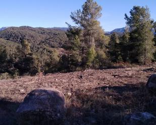 Land for sale in Bellmunt del Priorat