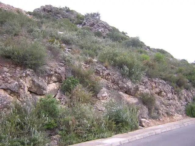 Terreny residencial en venda a Calle Amapolas 266, imagen 5