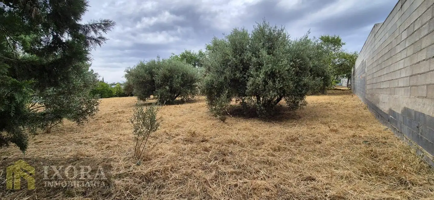 Terreni e lotti in vendita a Úbeda, imagen 3