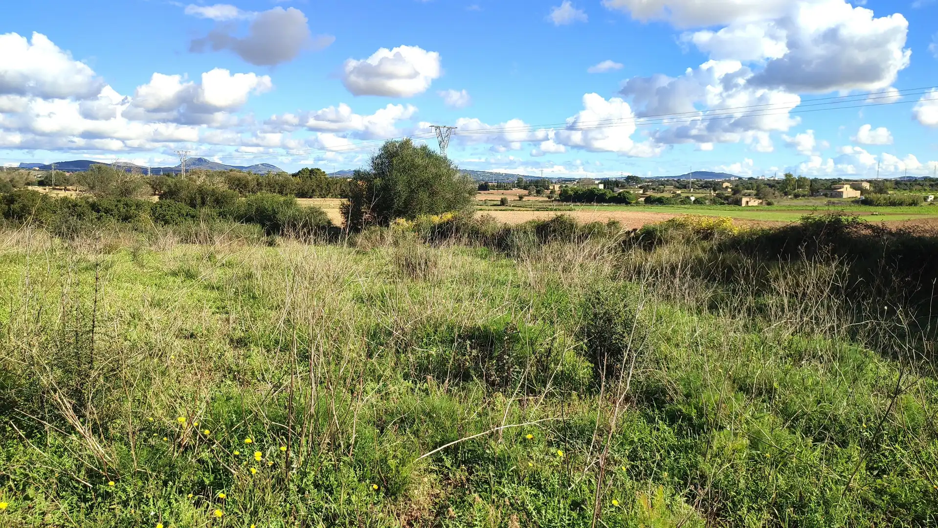 Rural land for sale in Diseminado Cdte Primero 3, imagen 6