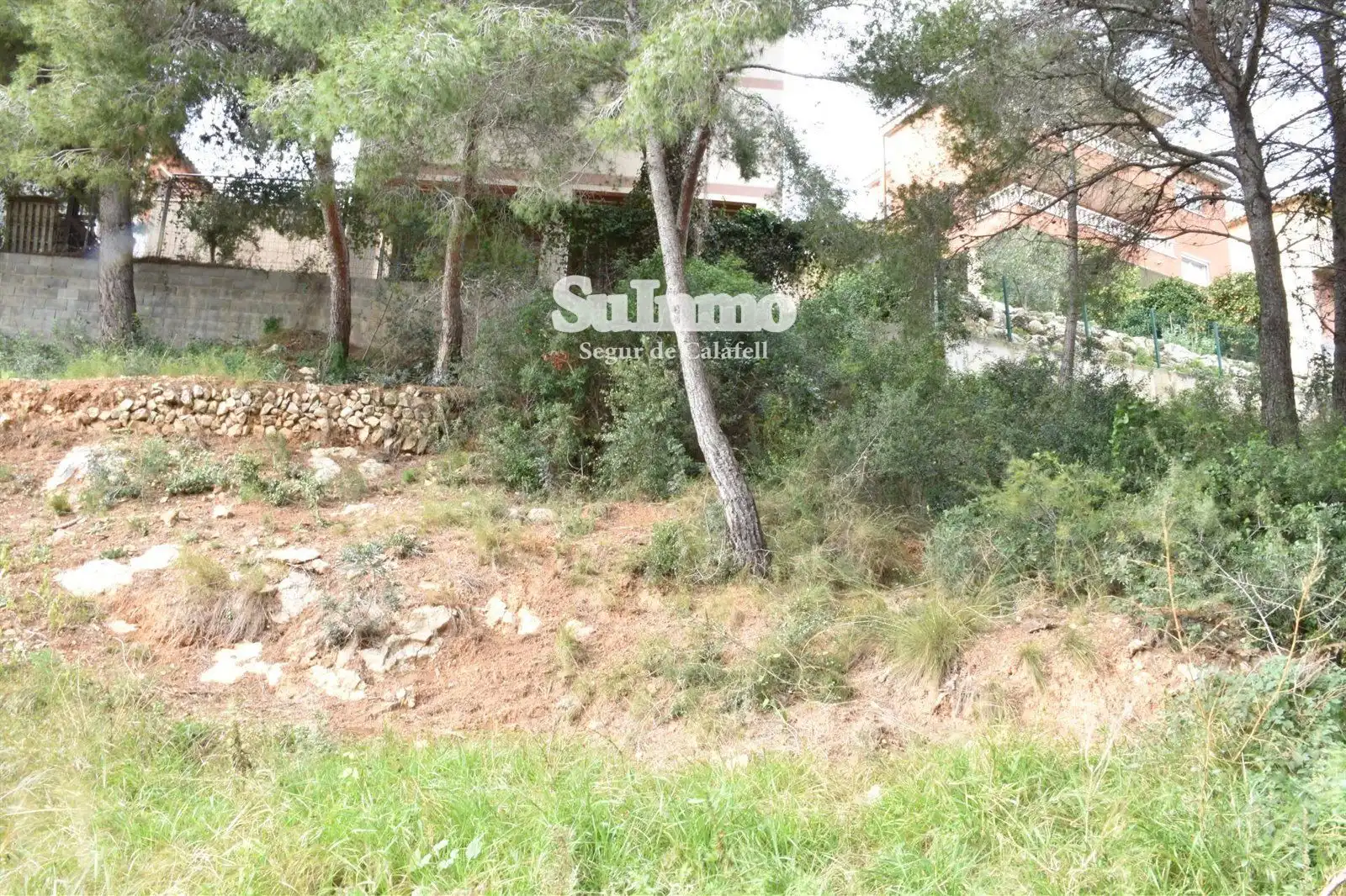 Rural land for sale in GLADIOL, imagen 8