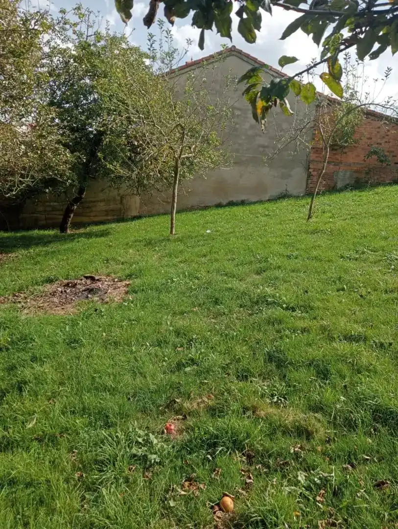 Casa o xalet en venda en Laviana amb Balcó