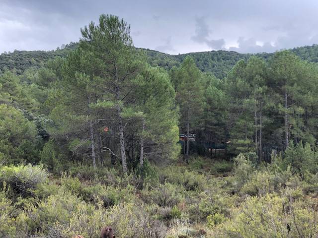 Terreno residencial en Venta en Avenida de Trillo, 176 en Trillo