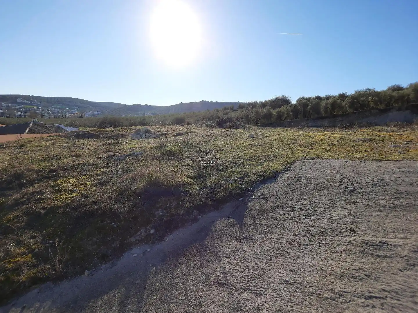 Rural land for sale in Poleares, imagen 2