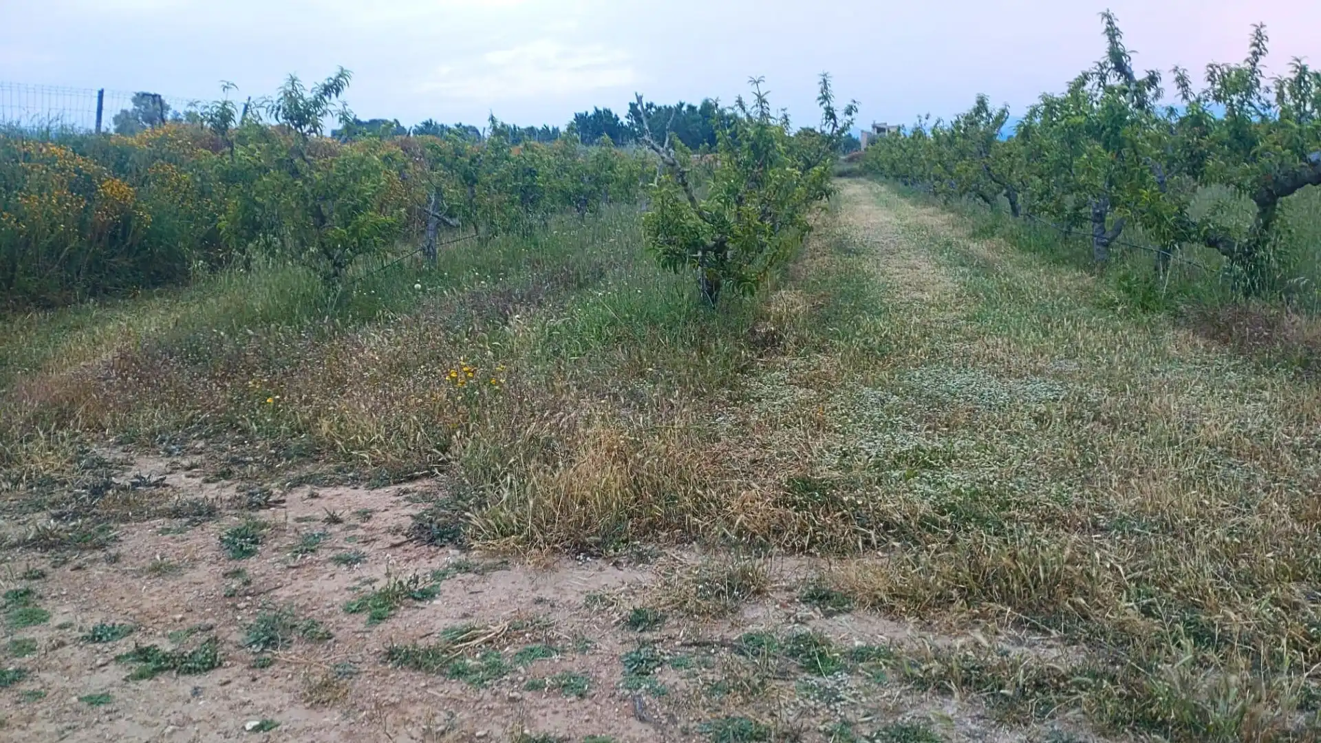 Terreno residenziale in vendita a Camino Nou, imagen 7